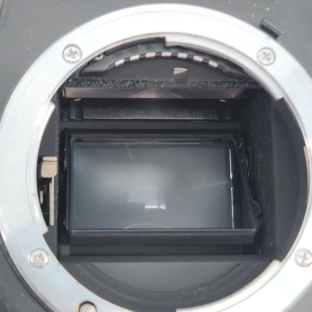 Nikon vintage n6006